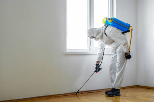 Best Pest Control Near Me in Helemano, HI